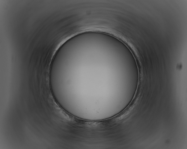 X0000090411529200707130914