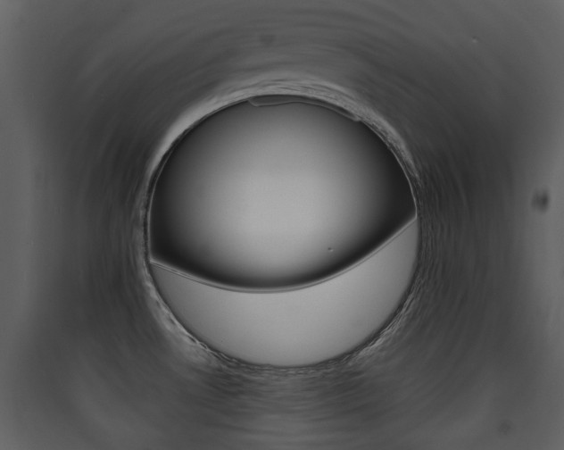 X0000090411530200707130914