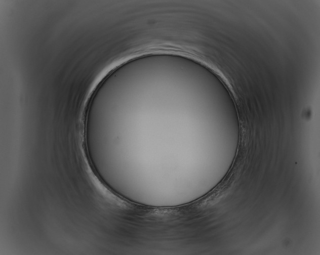 X0000090411531200707130914
