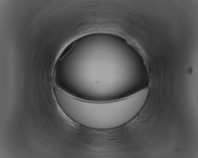 X0000090411532200707130914