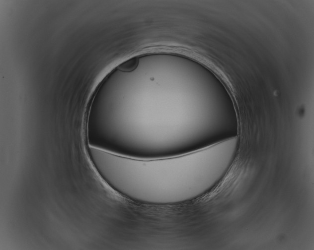 X0000090411533200707130914