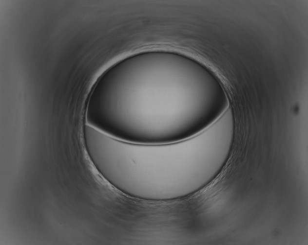 X0000090411534200707130914