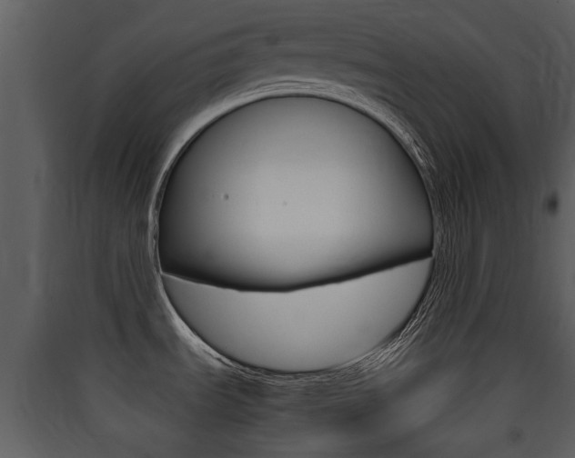 X0000090411535200707130914