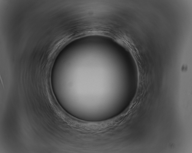 X0000090410001200707131157