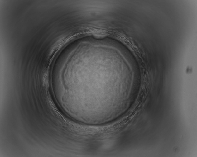 X0000090410002200707131157