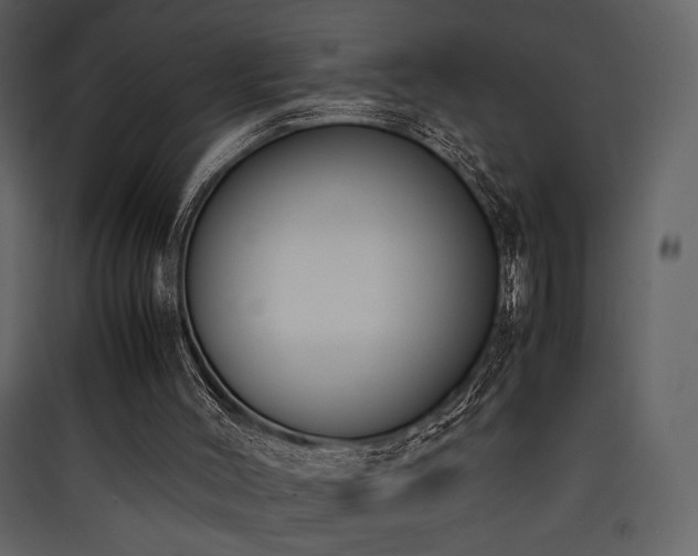 X0000090410004200707131157