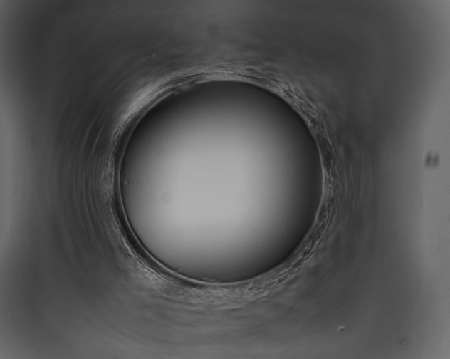 X0000090410005200707131157