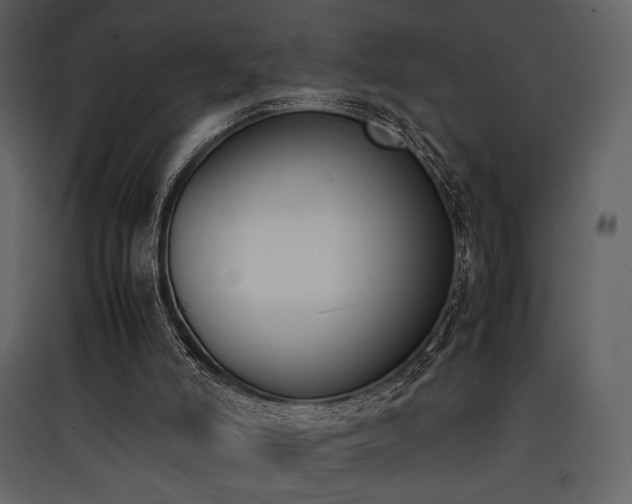 X0000090410006200707131157