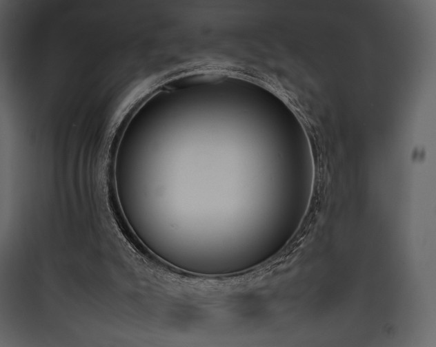 X0000090410007200707131157