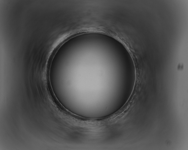 X0000090410008200707131157