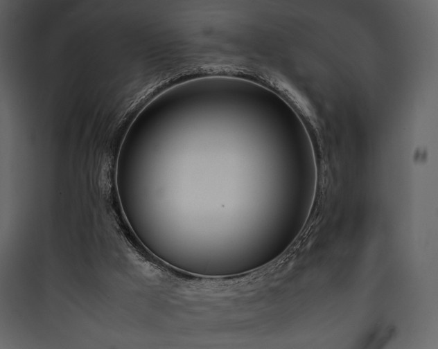 X0000090410009200707131157