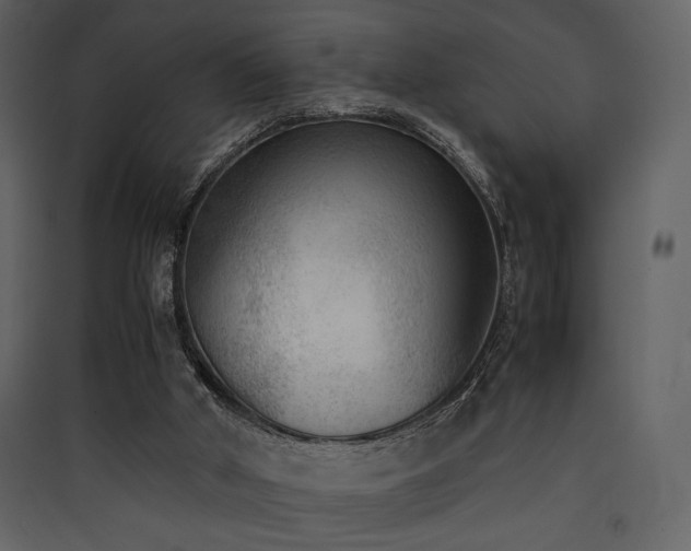 X0000090410010200707131157