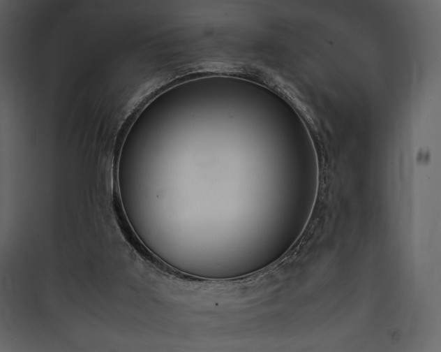 X0000090410011200707131157