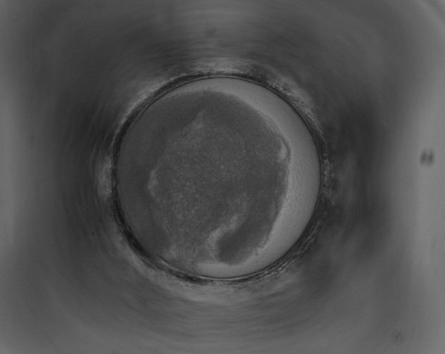 X0000090410012200707131157