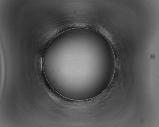 X0000090410013200707131157