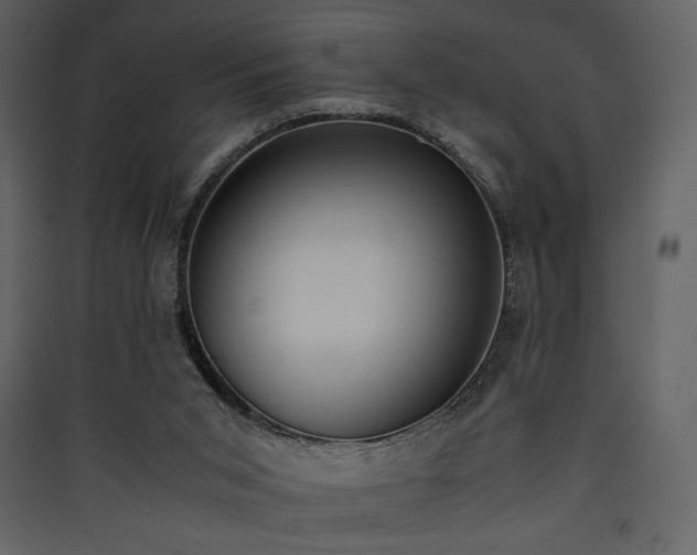 X0000090410015200707131157