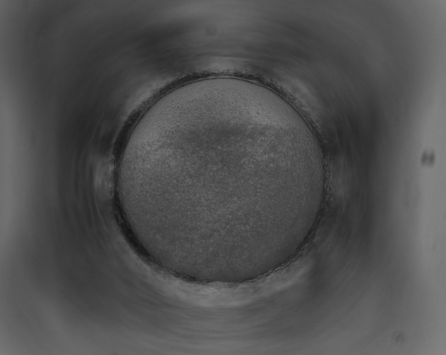 X0000090410016200707131157