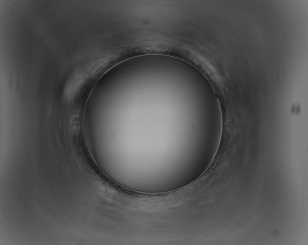 X0000090410017200707131157