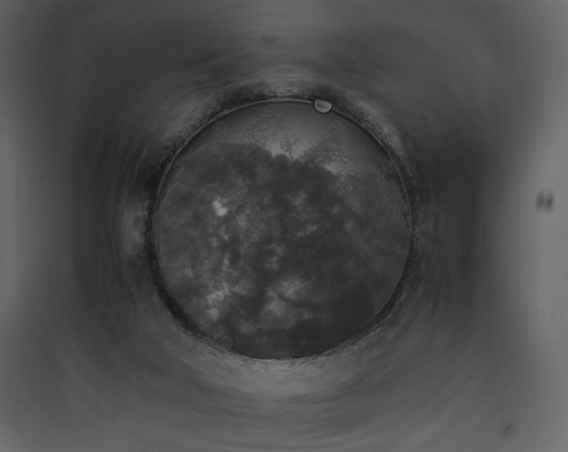 X0000090410018200707131157
