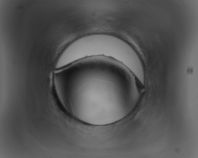 X0000090410019200707131157