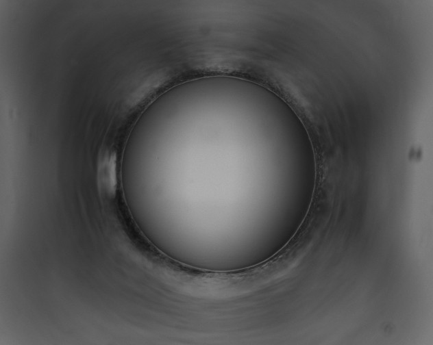 X0000090410020200707131157
