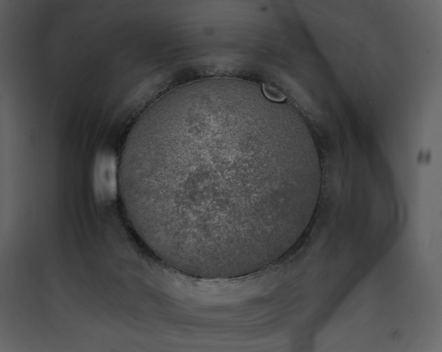 X0000090410022200707131157