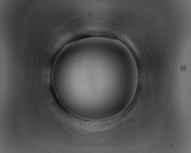 X0000090410023200707131157