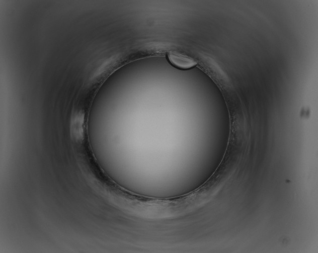 X0000090410024200707131157