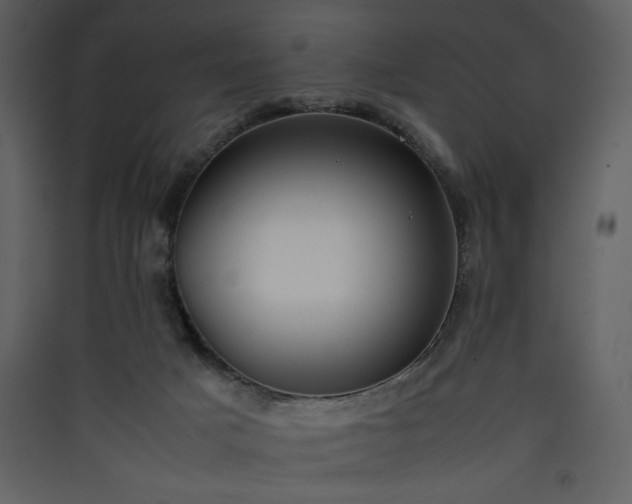 X0000090410025200707131157