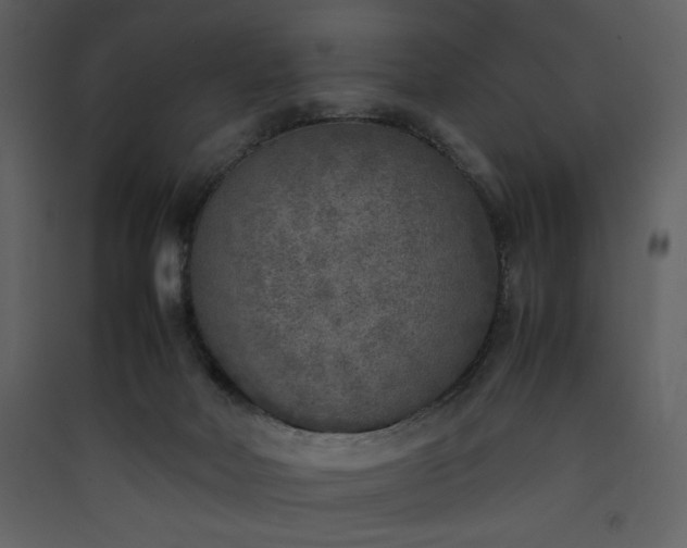 X0000090410026200707131157