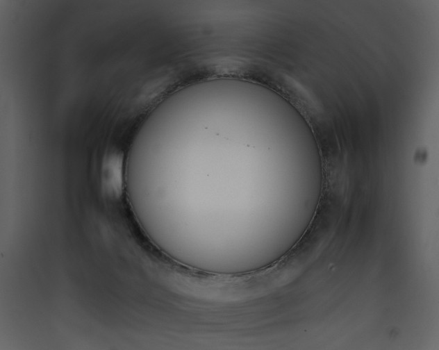 X0000090410028200707131157