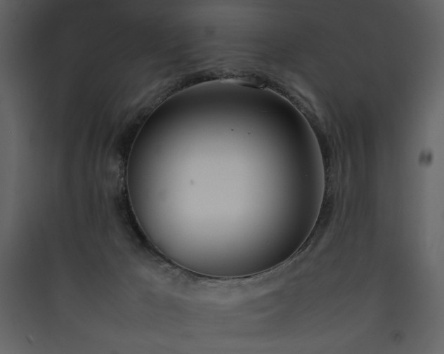 X0000090410029200707131157