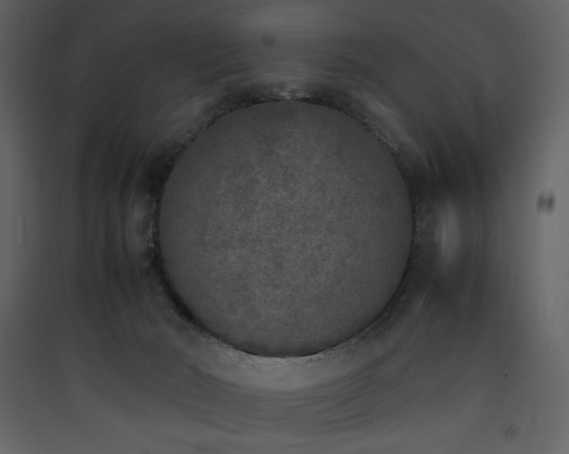 X0000090410030200707131157