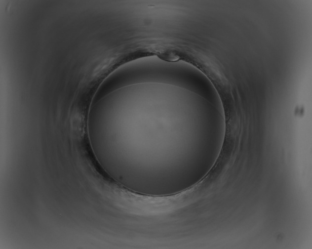 X0000090410031200707131157