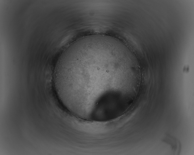 X0000090410032200707131157