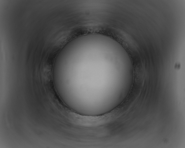 X0000090410034200707131157