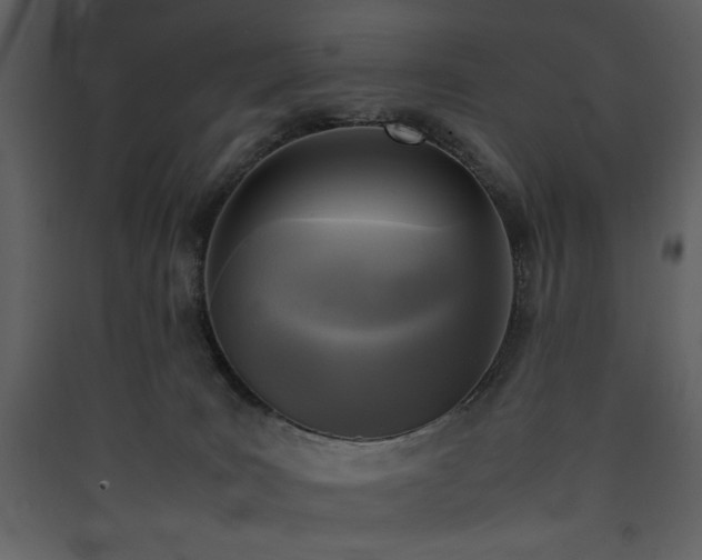 X0000090410035200707131157