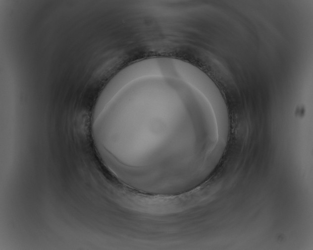 X0000090410036200707131157