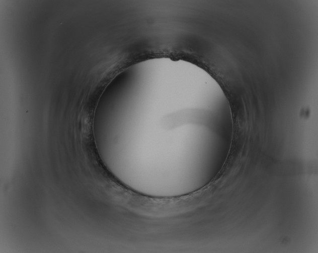 X0000090410037200707131157