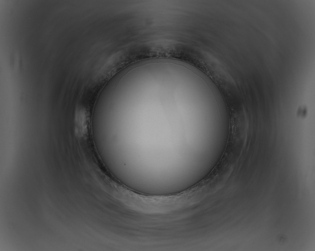 X0000090410038200707131157