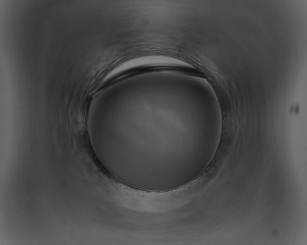 X0000090410039200707131157
