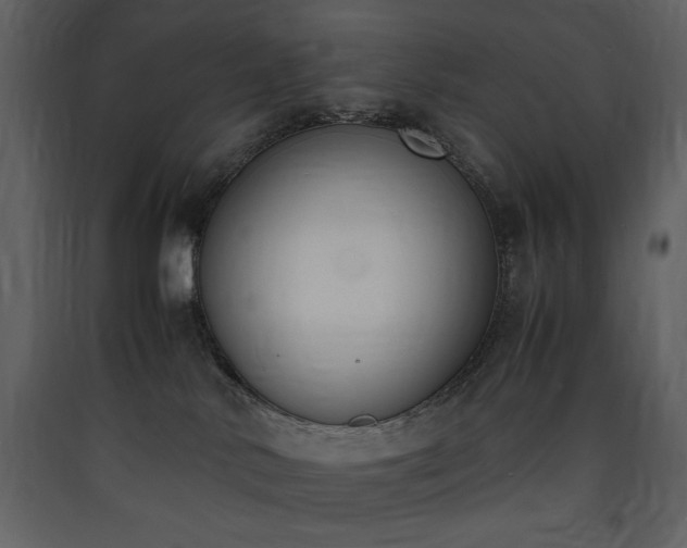 X0000090410042200707131157
