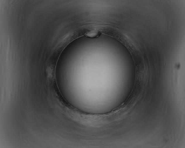 X0000090410044200707131157