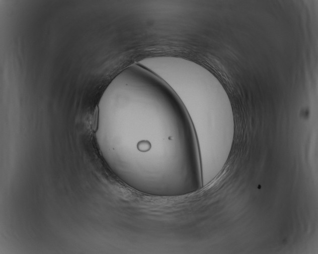 X0000090410045200707131157