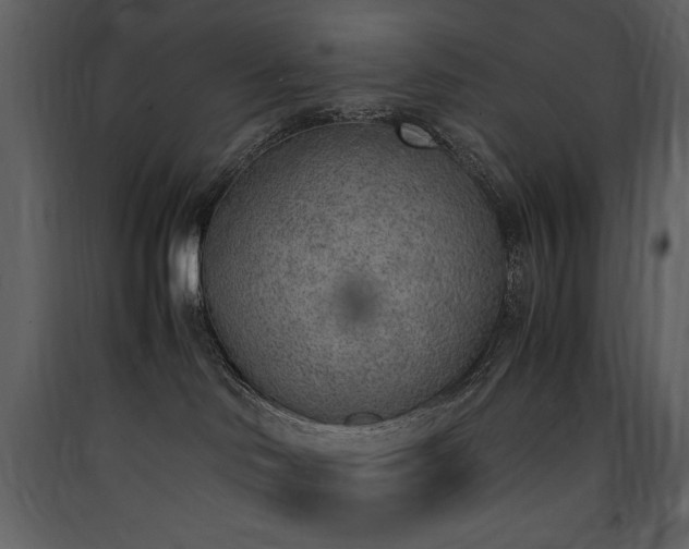 X0000090410046200707131157