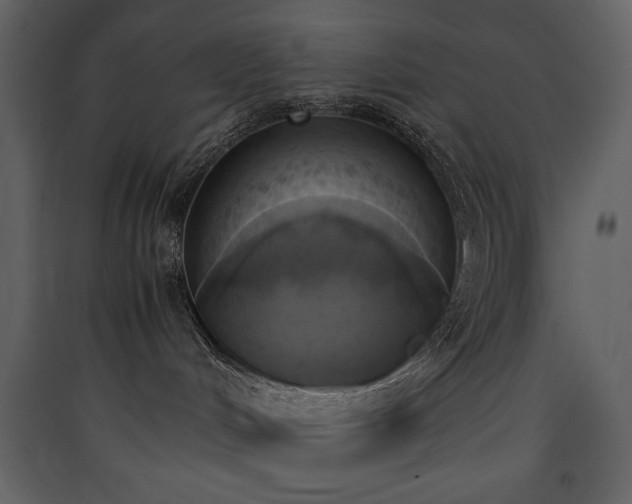X0000090410048200707131157