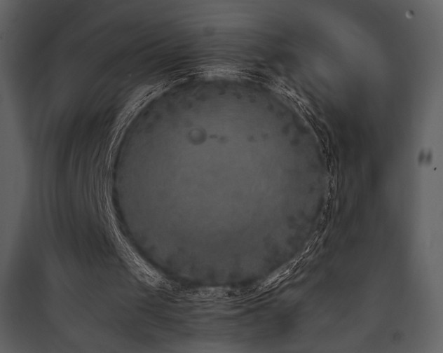 X0000090410049200707131156
