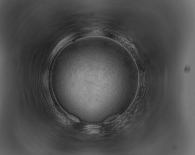 X0000090410051200707131156