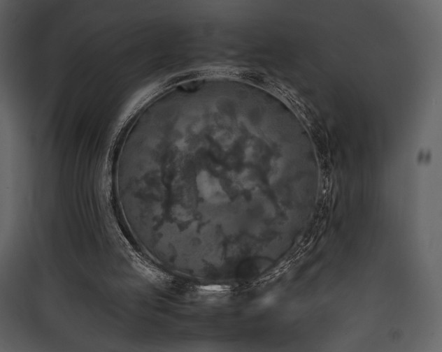 X0000090410053200707131156