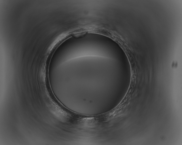 X0000090410054200707131156